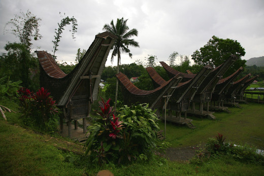 590871 (a): :1600x1067